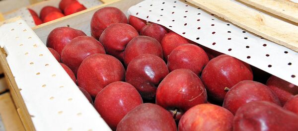 Ящики с яблоками. Архивное фото - Sputnik Кыргызстан