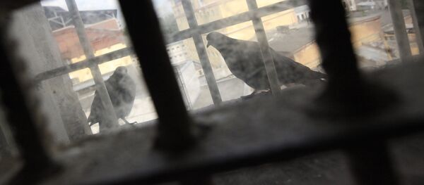 Окно в следственном изоляторе. Архивное фото - Sputnik Кыргызстан