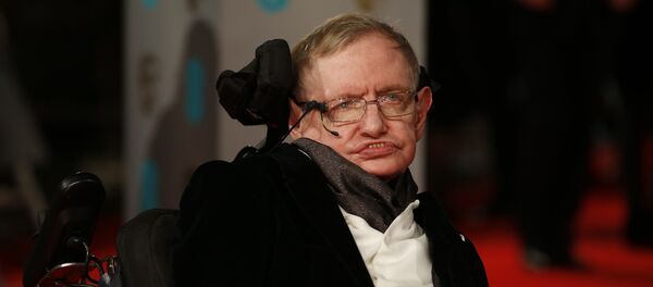 Хокинг предсказал, что для супер-умного ИИ человек будет муравьем - Sputnik Кыргызстан