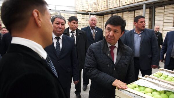 Праздник для фермеров — Сариев об открытии логистического центра - Sputnik Кыргызстан