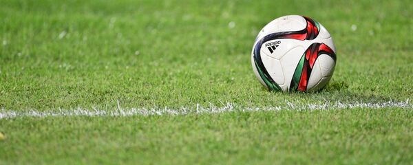 Футбольный мяч на газоне. Архивноое фото Футбольный мяч на газоне. Архивноое фото - Sputnik Кыргызстан