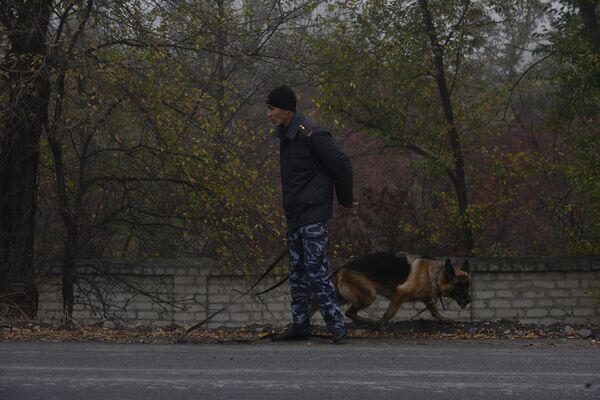 Сотрудник правоохранительных органов с собакой. Архивное фото - Sputnik Кыргызстан