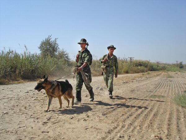Таджикские пограничники во время службы. Архивное фото - Sputnik Кыргызстан