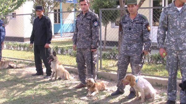 Собаки спецназначения: спаниели и овчарки учатся искать наркотики - Sputnik Кыргызстан