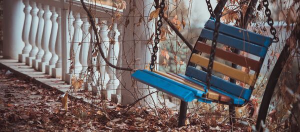 В столице еще тепло и глубокую осень можно определить по пожелтевшим листьям - Sputnik Кыргызстан