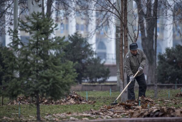 Опавшие листья доставляют немало хлопот бойцам Тазалыка - Sputnik Кыргызстан
