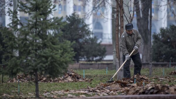 Архивное фото мужчины, который убирает опавшие листья - Sputnik Кыргызстан
