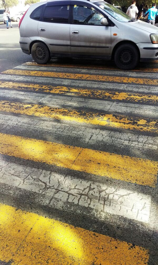 WhatsApp-канал: желтые зебры стерлись, не прослужив и месяца - Sputnik Кыргызстан