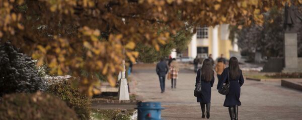 Прохожие на одной из улиц Бишкека. Архивное фото Прохожие на одной из улиц Бишкека. Архивное фото - Sputnik Кыргызстан