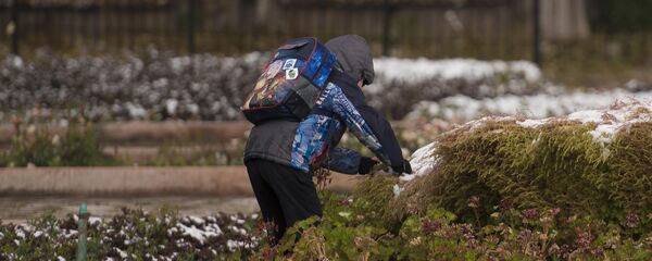 Мектепке бара жаткан окуучу. Архив - Sputnik Кыргызстан