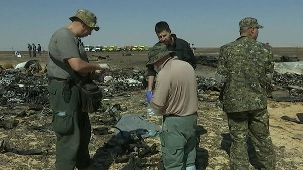 Сотрудники МЧС РФ собирали материалы для следствия на месте крушения A321 - Sputnik Кыргызстан