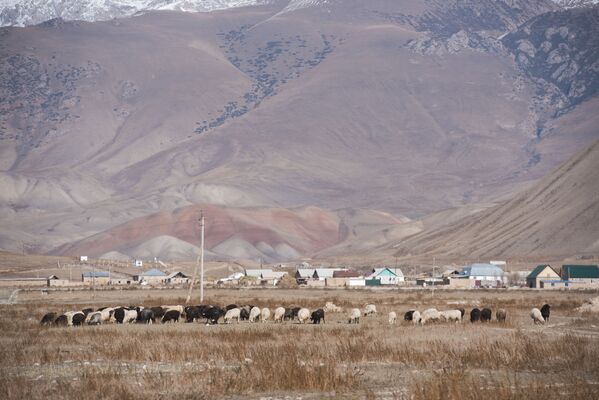 Самыми крупными высокогорными долинами региона являются Ак-Сайская, Арпинская, Ат-Башинская и Сон-Кульская (высота от 2600 до 3800 метров над уровнем моря) - Sputnik Кыргызстан