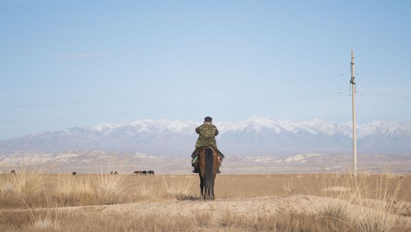 Человек на лошади. Архивное фото - Sputnik Кыргызстан