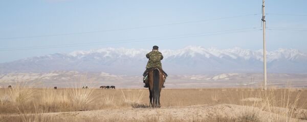 Человек на лошади. Архивное фото - Sputnik Кыргызстан
