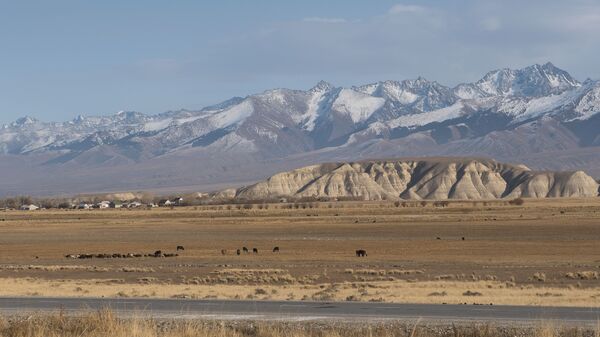 По дороге на Тянь-Шань — как живется в высокогорном Нарыне - Sputnik Кыргызстан