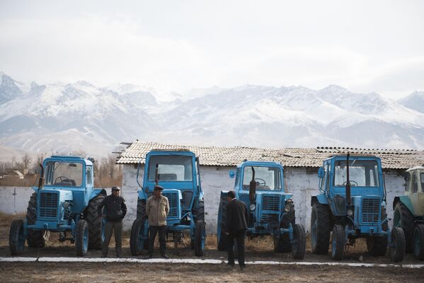 В прошлом году в регионе 40 712 гектаров было засеяно зерновыми культурами… - Sputnik Кыргызстан