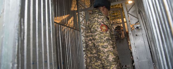 Жаза аткаруу мамлекеттик комитетинин кызматкери. Архив - Sputnik Кыргызстан