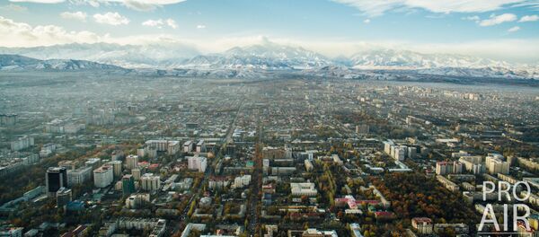 Осень в Бишкеке — взгляд улетающих птиц - Sputnik Кыргызстан