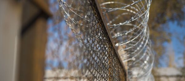 Колючая проволока у решетки. Архивное фото - Sputnik Кыргызстан