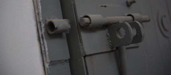 Замок железной двери. Архивное фото - Sputnik Кыргызстан