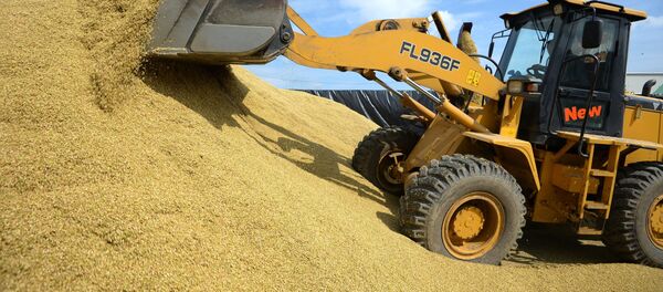 Сбор урожая в Свердловской области - Sputnik Кыргызстан