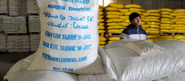 Кампадагы төө буурчак. Архив - Sputnik Кыргызстан