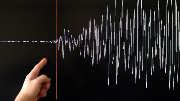Мужчина показывает на график по толчкам землетрясения. Архивное фото - Sputnik Кыргызстан