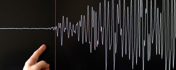 Мужчина показывает на график толчков землетрясения. Архивное фото Мужчина показывает на график толчков землетрясения. Архивное фото - Sputnik Кыргызстан