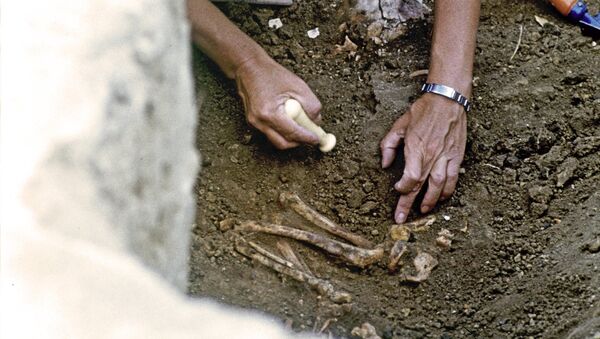 Археолог во время раскопок. Архивное фото - Sputnik Кыргызстан
