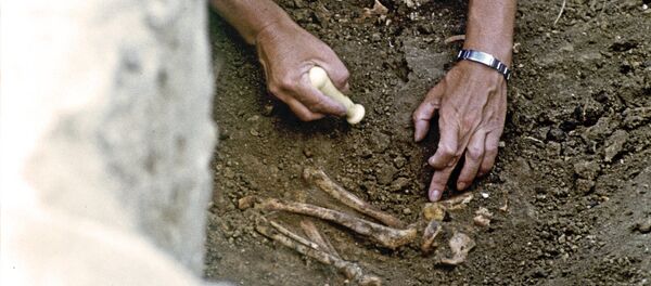 Археолог. Архив - Sputnik Кыргызстан