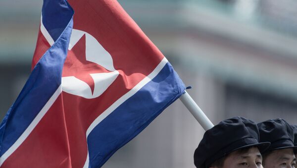 Түндүк Кореянын желеги. Архив - Sputnik Кыргызстан