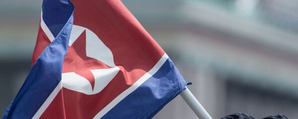 Военнослужащие с флагом КНДР. Архивное фото - Sputnik Кыргызстан