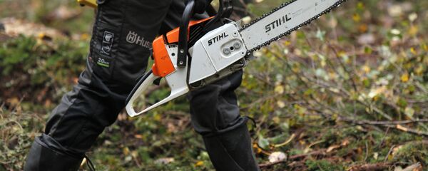 Человек с бензопилой. Архивное фото - Sputnik Кыргызстан