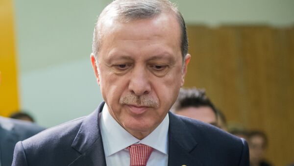 . Президент Турции Реджеп Тайип Эрдоган - Sputnik Кыргызстан