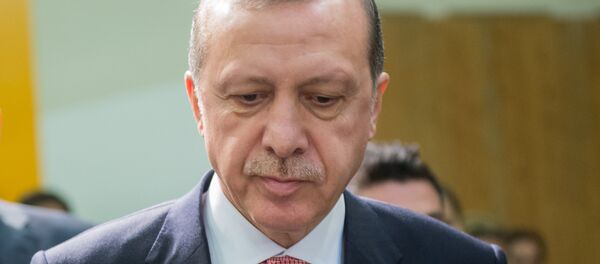 . Президент Турции Реджеп Тайип Эрдоган - Sputnik Кыргызстан