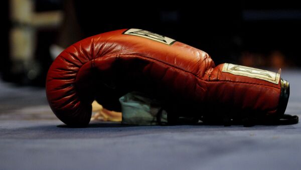 Боксерские перчатки. Архивное фото - Sputnik Кыргызстан