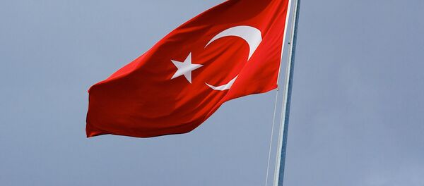 Государственный флаг Турции. Архивное фото - Sputnik Кыргызстан