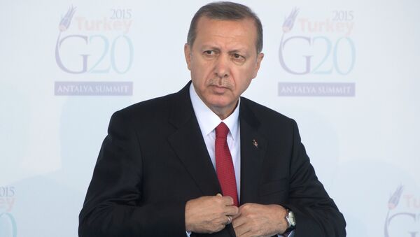 Президент Турции Тайип Эрдоган. Архивнео фото - Sputnik Кыргызстан
