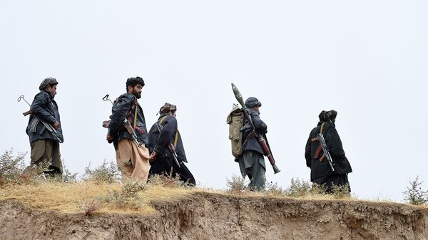 Талибан кыймылынын согушкерлери. Архив - Sputnik Кыргызстан