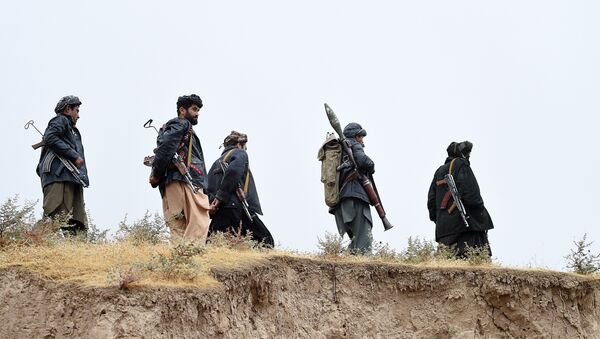 Талибан радикалдык кыймылынын мүчөлөрү. Архив - Sputnik Кыргызстан