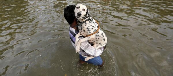 Суу ташкын. Архив - Sputnik Кыргызстан