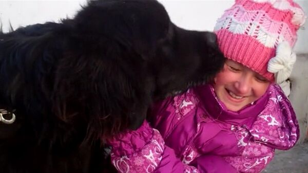 Как живет щенок — подарок Путина девочке из Балыкчи? - Sputnik Кыргызстан
