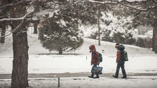 Школьники идут во время снегопада. Архивное фото - Sputnik Кыргызстан
