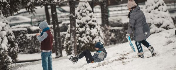 Дети играют в снежки на аллее в Бишкеке. Архивное фото - Sputnik Кыргызстан