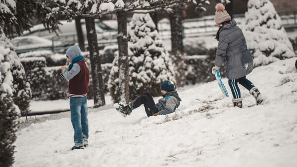 Дети играют в снежки на аллее в Бишкеке. Архивное фото - Sputnik Кыргызстан