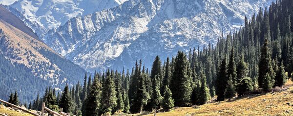 Ысык-Көлдөгү тоо. Архив - Sputnik Кыргызстан