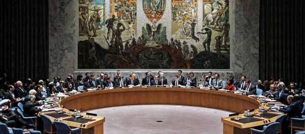 Заседание Совета Безопасности ООН в Нью-Йорке. Архивное фото - Sputnik Кыргызстан