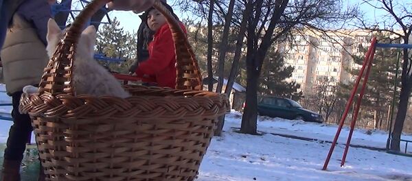 Легко ли похитить ребенка? — соцэксперимент в Бишкеке - Sputnik Кыргызстан