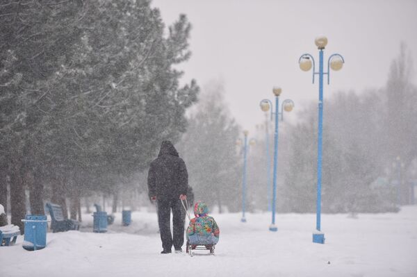 Снегопад в Бишкеке Снегопад в Бишкеке - Sputnik Кыргызстан