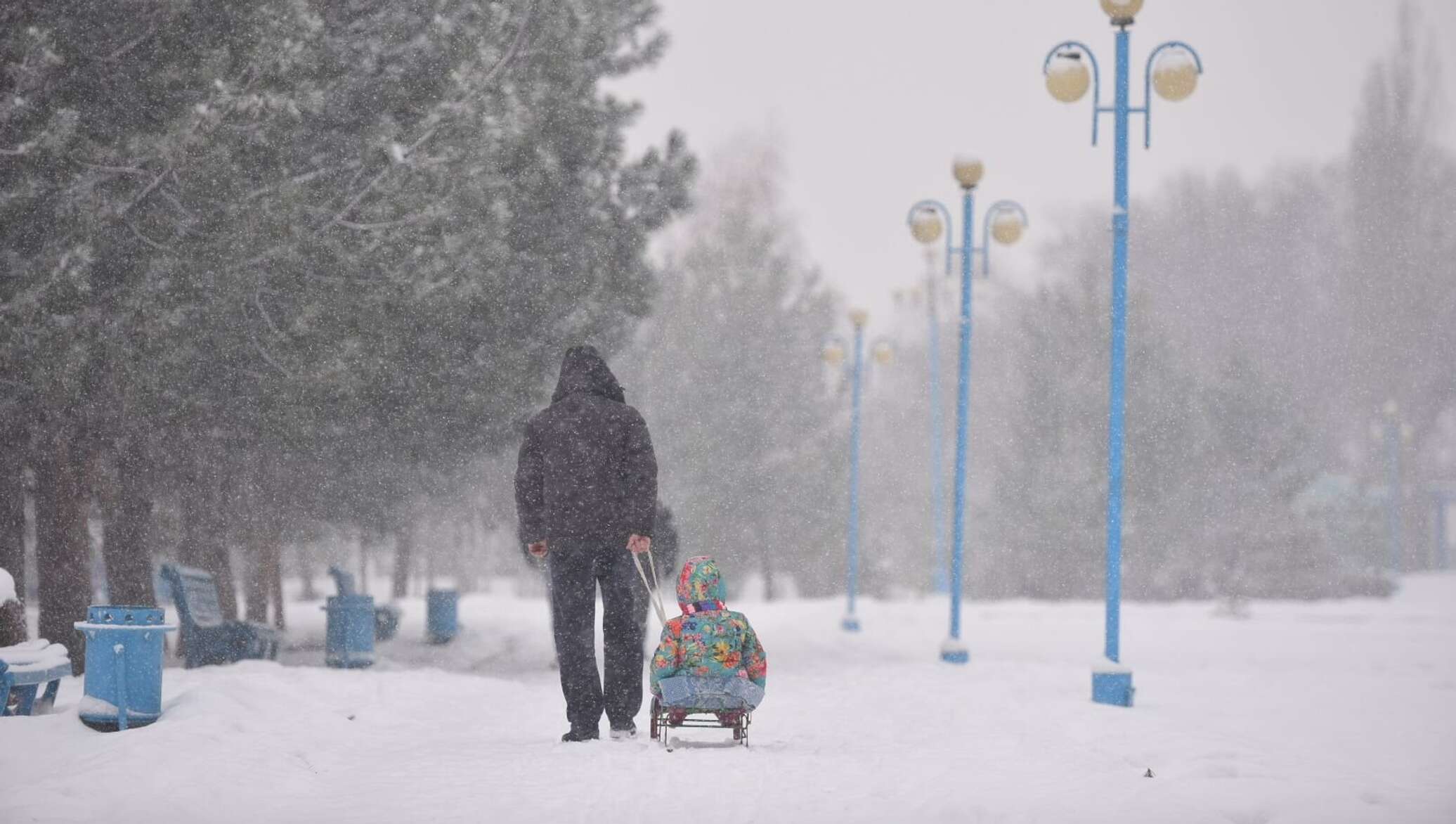 Снежное 2016